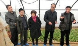 咸阳事件爆料最新消息,揭秘背后真相与影响